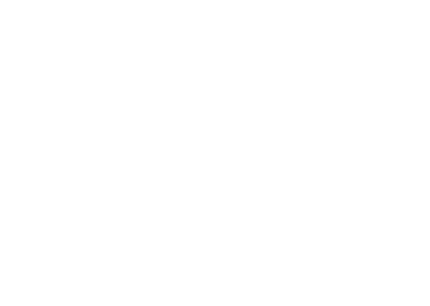 Avada Vegan Store Logo
